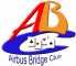 Bridge - ABC